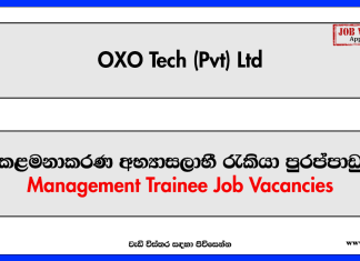 Management Trainee, Intern - HR, Talent Acquisition & CSR - OXO Tech (Pvt) Ltd