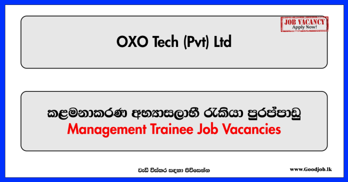 Management Trainee, Intern - HR, Talent Acquisition & CSR - OXO Tech (Pvt) Ltd