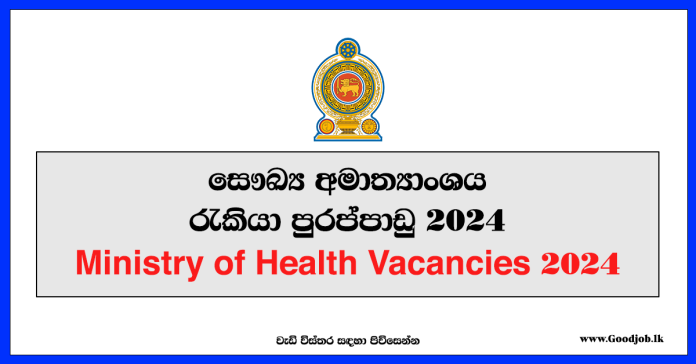 Ministry of Health Vacancies 2024