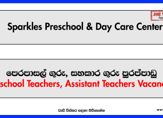 Preschool Teachers, Assistant Teachers - Sparkles Preschool & Day Care Center