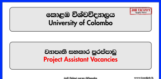 Project Assistant (Faculty of Law) University of Colombo Vacancies 2024