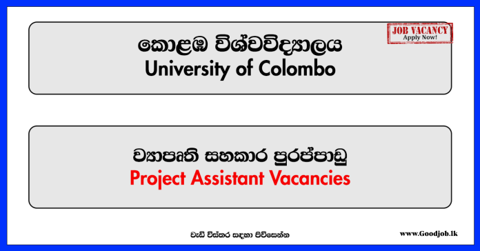 Project Assistant (Faculty of Law) University of Colombo Vacancies 2024