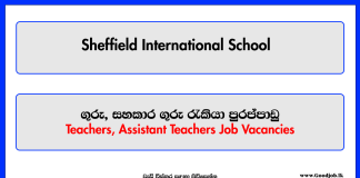 Teachers, Assistant Teachers - Sheffield International School