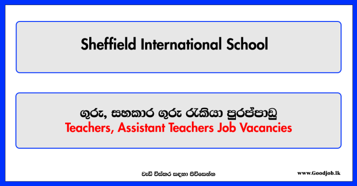 Teachers, Assistant Teachers - Sheffield International School