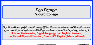 Teachers Vacancies - Vidura College