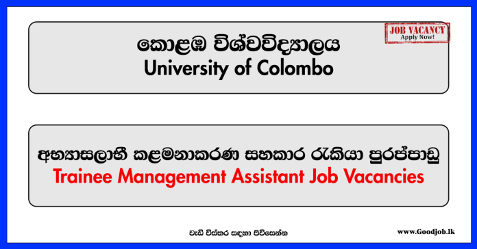 Trainee Management Assistant (IBMBB) – University of Colombo