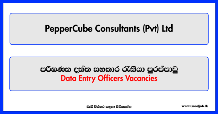 Data Entry Officers - PepperCube Consultants (Pvt) Ltd