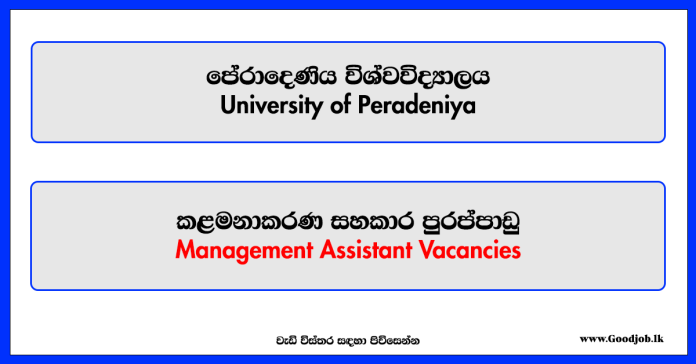 Management Assistant – University of Peradeniya