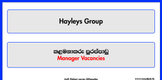 Manager - Hayleys Group