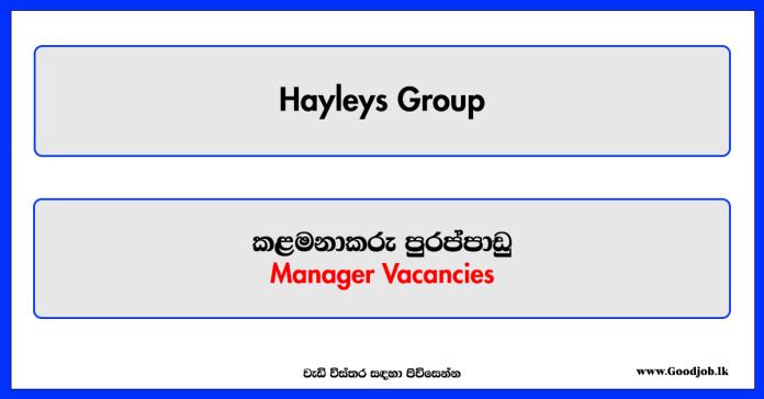 Manager - Hayleys Group