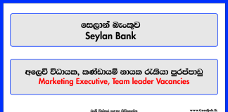 Team leader, Marketing Executive - Seylan Bank PLC