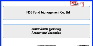 accountant-nsb-fund-management-co-ltd