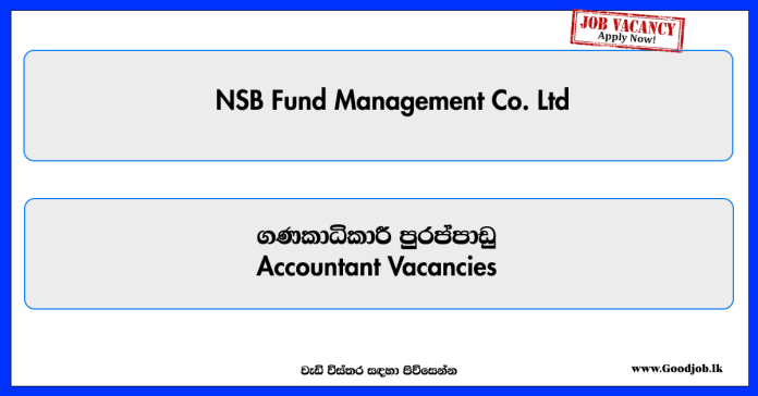 accountant-nsb-fund-management-co-ltd