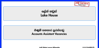 accounts-assistant-lake-house