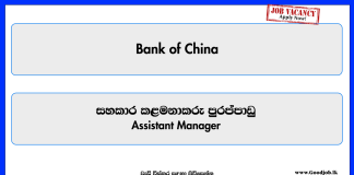 assistant-manager-credit-risk-management-bank-of-china