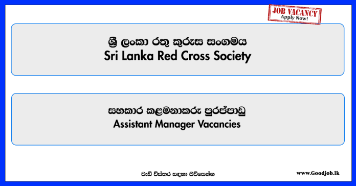 assistant-manager-sri-lanka-red-cross-society