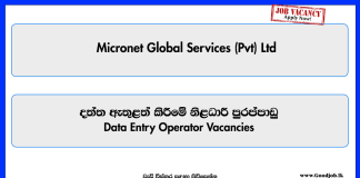 data-entry-operator-micronet-global-services-pvt-ltd
