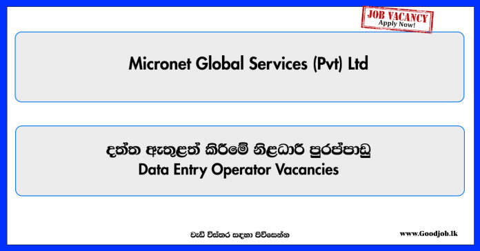 data-entry-operator-micronet-global-services-pvt-ltd