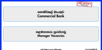 manager-commercial-bank-
