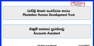 accounts-assistant-plantation-human-development-trust