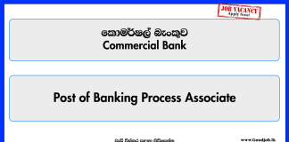 banking-process-associate-fixed-term-contract-commercial-bank
