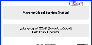 data-entry-operator-micronet-global-services-pvt-ltd