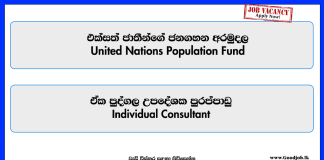 individual-consultant-united-nations-population-fund