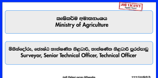 surveyor-senior-technical-officer-technical-officer-ministry-of-agriculture