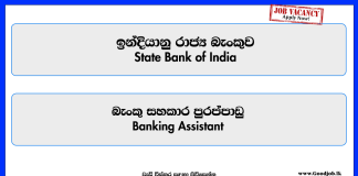 banking-assistant-state-bank-of-india