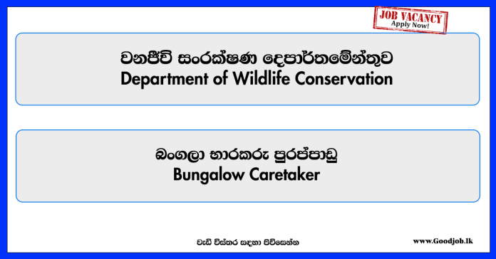 bungalow-caretaker-department-of-wildlife-conservation