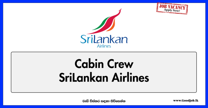 cabin-crew-srilankan-airlines