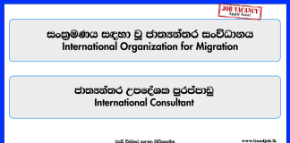 international-consultant-international-organization-for-migration