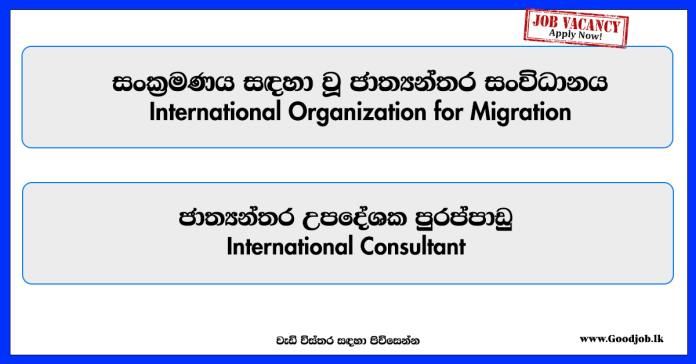 international-consultant-international-organization-for-migration