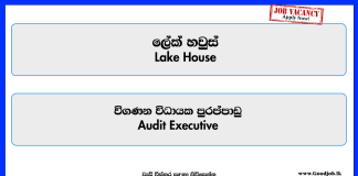 lake-house-audit-executive