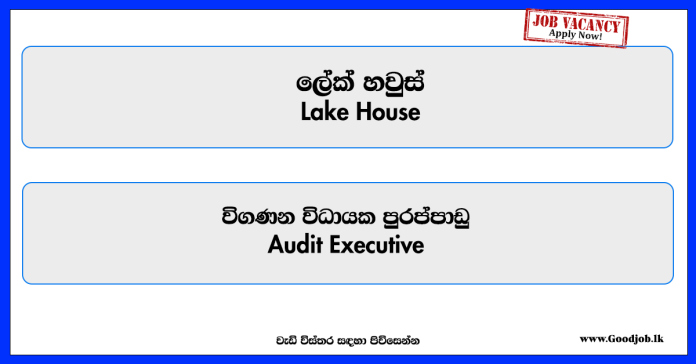 lake-house-audit-executive