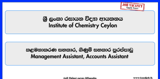 management-assistant-accounts-assistant-institute-of-chemistry-ceylon