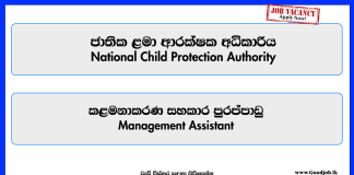 management-assistant-national-child-protection-authority