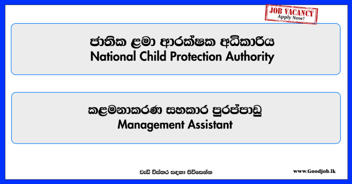 management-assistant-national-child-protection-authority