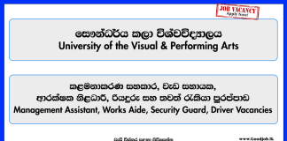 management-assistant-works-aide-security-guard-driver-university-of-the-visual-performing-arts