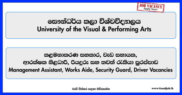 management-assistant-works-aide-security-guard-driver-university-of-the-visual-performing-arts