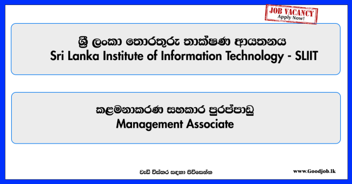 management-associate-sri-lanka-institute-of-information-technology