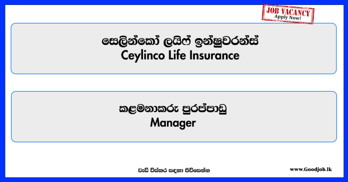 manager-ceylinco-life-insurance