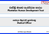 medical-officer-plantation-human-development-trust