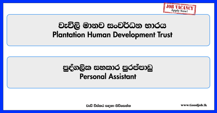 personal-assistant-plantation-human-development-trust-