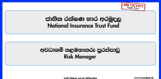 risk-manager-national-insurance-trust-fund