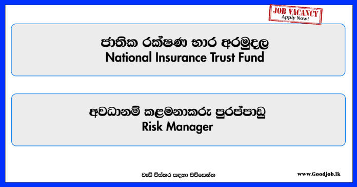 risk-manager-national-insurance-trust-fund