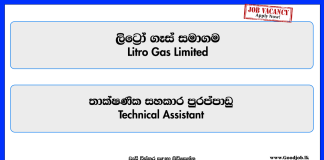 technical-assistant-litro-gas-limited