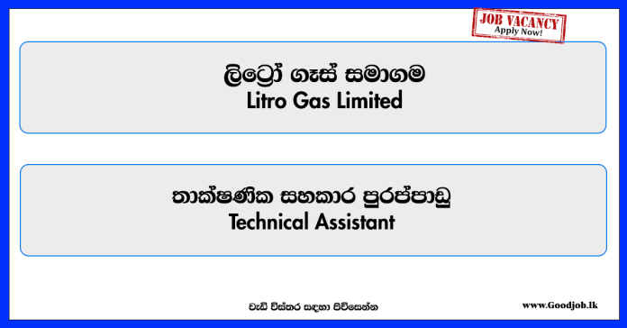 technical-assistant-litro-gas-limited
