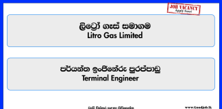 terminal-engineer-litro-gas-limited