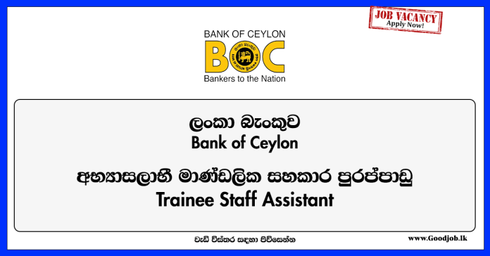 trainee-staff-assistant-bank-of-ceylon